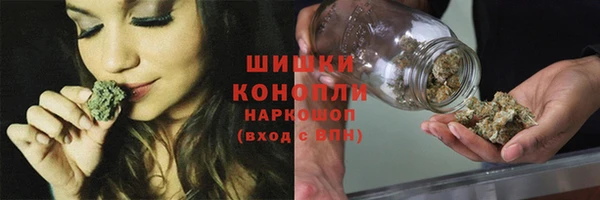 тгк Михайлов
