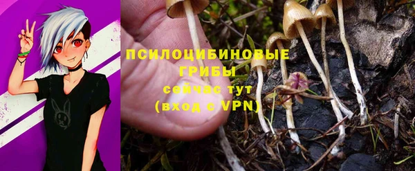 PSILOCYBIN Елабуга