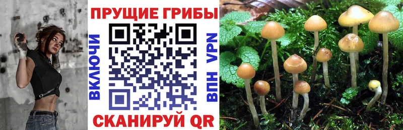 Псилоцибиновые грибы MAGIC MUSHROOMS  Курчатов 
