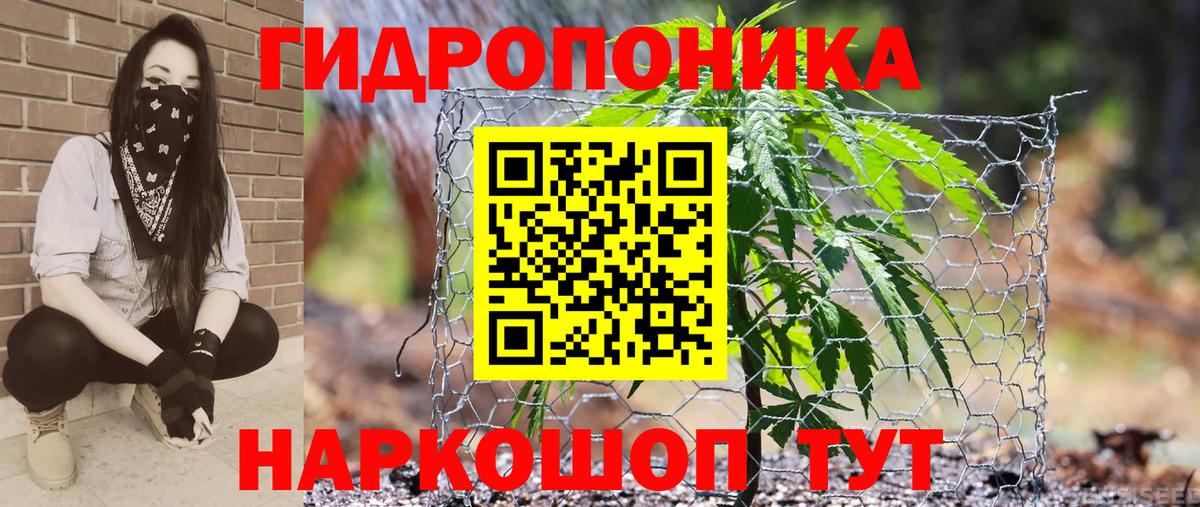 Конопля LSD WEED Курчатов